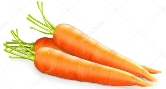 Морква: векторна графіка, зображення, Морква малюнки | Скачати з  Depositphotos®